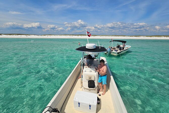 4-hour-eco-dolphin-tour-in-panama