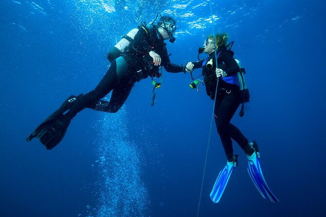 4-hour-guided-scuba-diving-adventures-in-waikiki