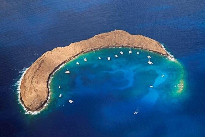 4-hour-koa-kai-molokini-adventure-snorkel