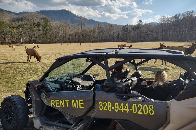 4-hr-utv-eco-elk-wilderness-adventure-2