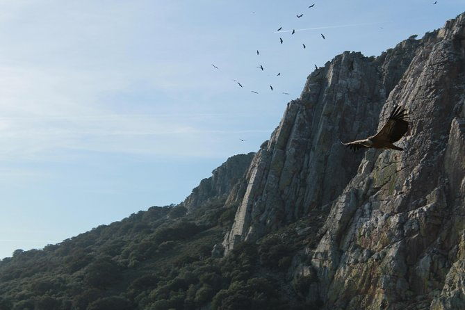 4-x-4-monfrague-national-park-minimum-4-people-2