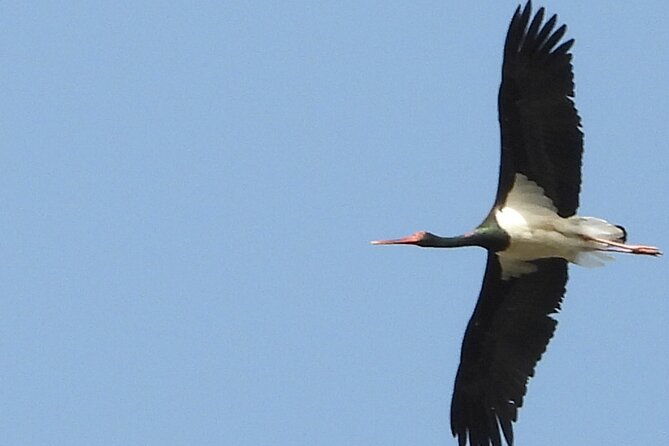 4-x-4-monfrague-national-park-minimum-4-people-4