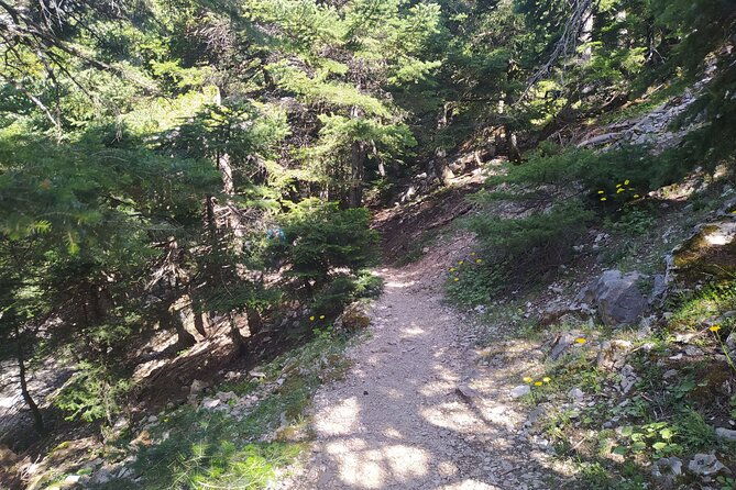 1-day-parnitha-athens-hiking-tour-2