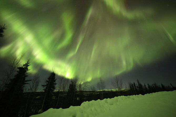 1-day-shared-tour-arctic-circle-and-aurora-viewing-in-alaska-2