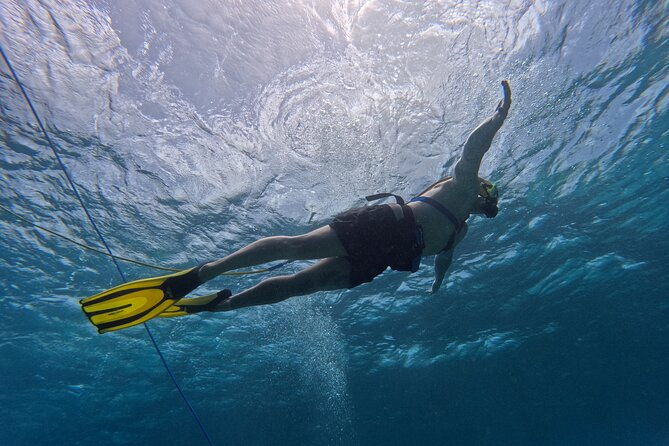 1-hour-guided-snuba-east-coast-diving-in-curacao