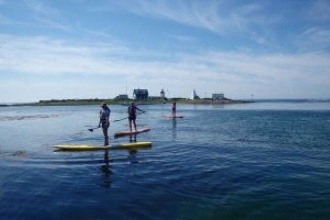 1-hour-guided-sup-kayak-tour-in-pelican-bay-at-fort-myers-beach