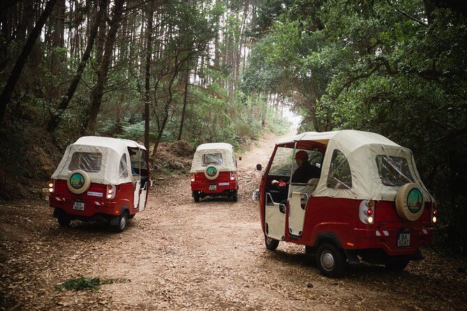 1-hour-private-tuk-tuk-tour-in-sintra