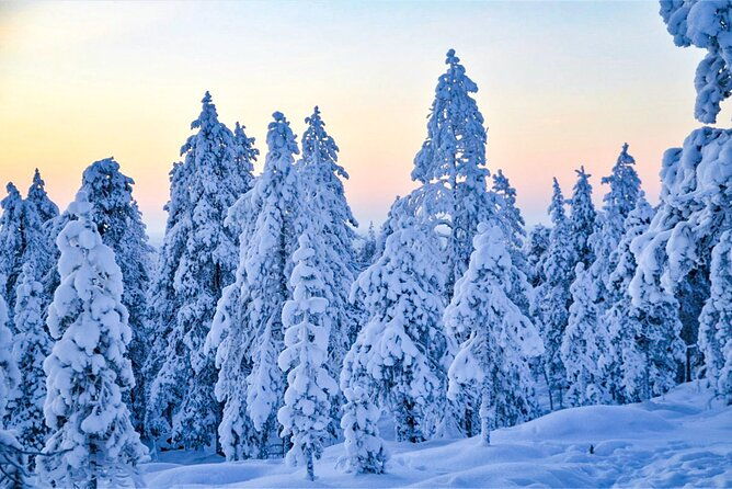 1-hour-snowmobile-safari-adventure-in-rovaniemi-2