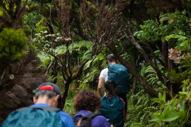 10-volcanos-hiking-private-tour-in-faial