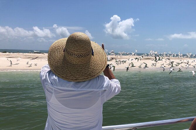 10000-islands-excursion-small-group-3-5-hour-dolphin-shelling-boat-tour