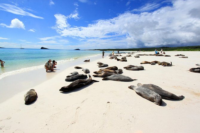 16-day-ecuador-adventure-andes-amazon-galapagos