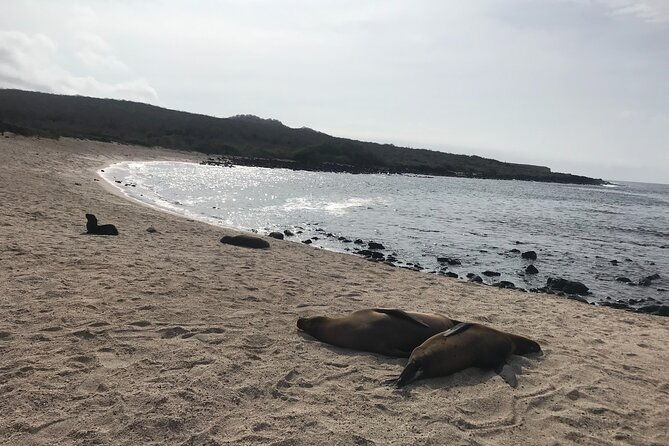 17-day-ecuador-and-galapagos-islands-hidden-treasure-with-boutique-style-hotels