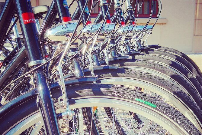 2-1-2h-guided-bicycle-tour-discover-heidelberg