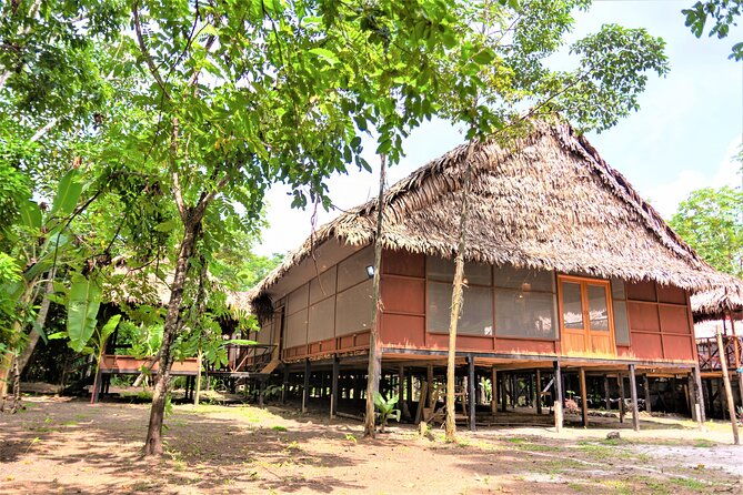 2-day-amazon-jungle-tour-at-avatar-amazon-lodge