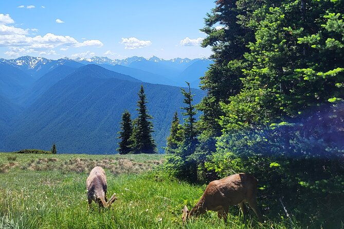 2-day-mt-rainier-all-inclusive-small-group-tour