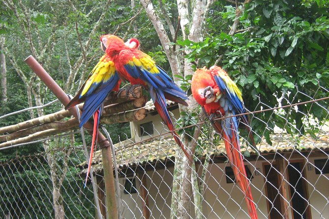2-day-tour-following-the-maya-path-and-copan-ruins