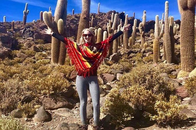 2-day-uyuni-salt-flats-including-laguna-colorada-by-flight-from-la-paz