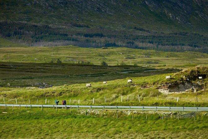 2-day-western-ireland-tour-from-dublinincluding-galway-and-cliffs-of-moher