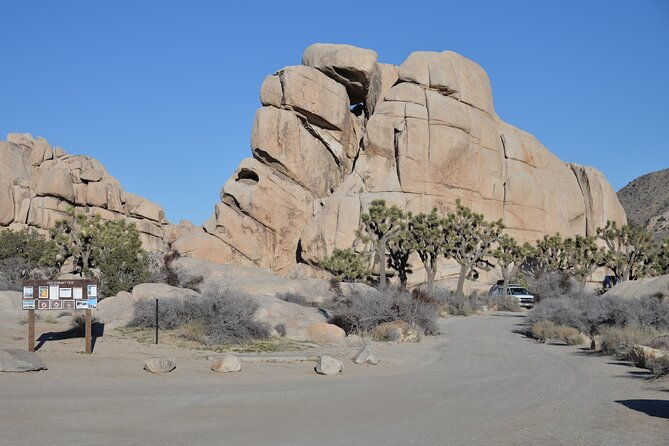 2-days-private-tour-to-joshua-tree-national-park-from-los-angeles