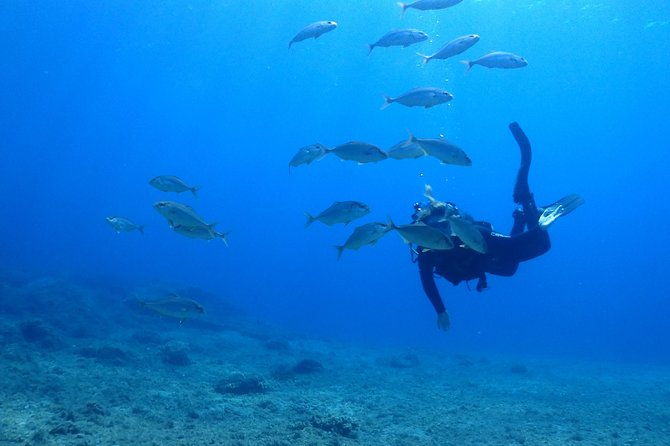 2-dives-package