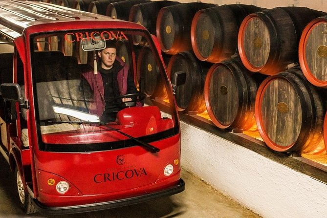 2-excursions-in-one-day-cricova-winerytiraspol-city-and-bender-fortress
