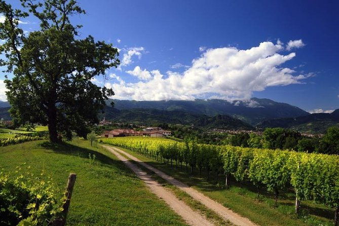 2-guests-private-prosecco-road-tour-all-inclusive-from-conegliano