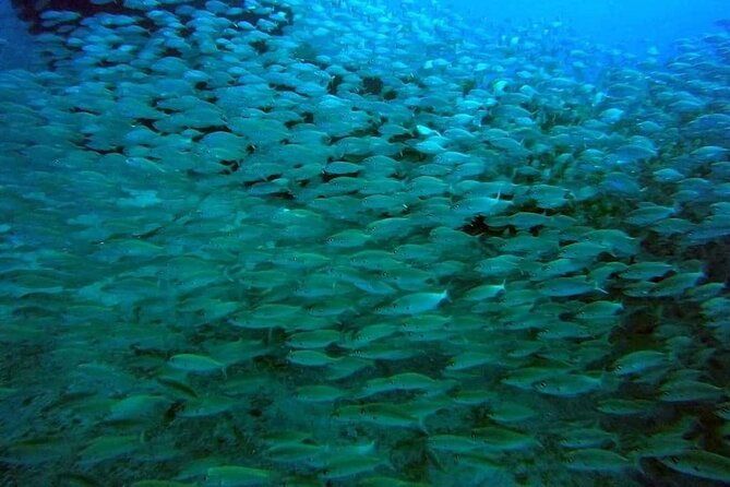 2-hour-afternoon-snorkeling-experience-in-gran-canaria-by-boat-2