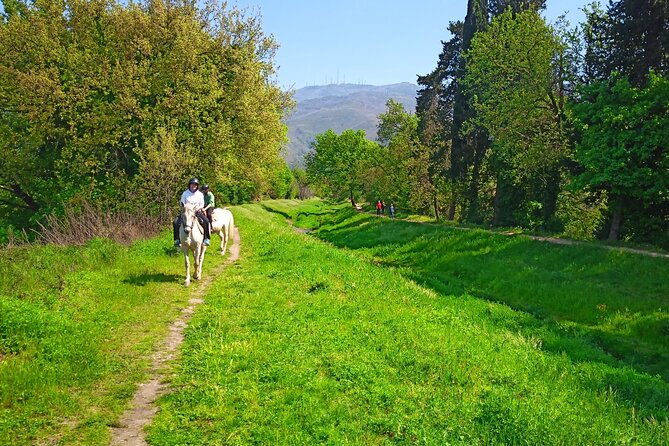 2-hour-horseback-ride-for-experts-in-valgraziosa-pisa