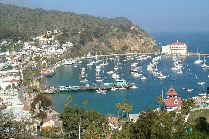 2-hour-inside-adventure-tour-on-catalina-island