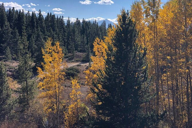2-hour-mineral-belt-guided-e-bike-tour-in-leadville