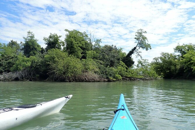 2-hour-night-kayak-tour-in-venice-premium-experience-with-sunset