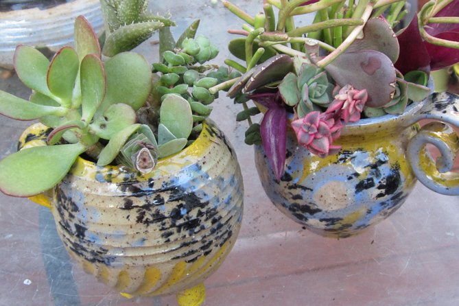 2-hour-pottery-workshop-and-studio-tour-in-ojai