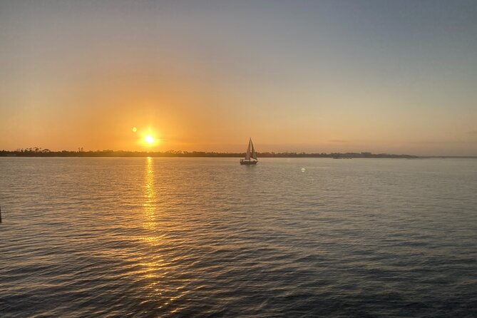 2-hour-private-dolphin-sightseeing-tour