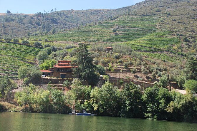 2-hour-rabelo-boat-tour-in-pinhao