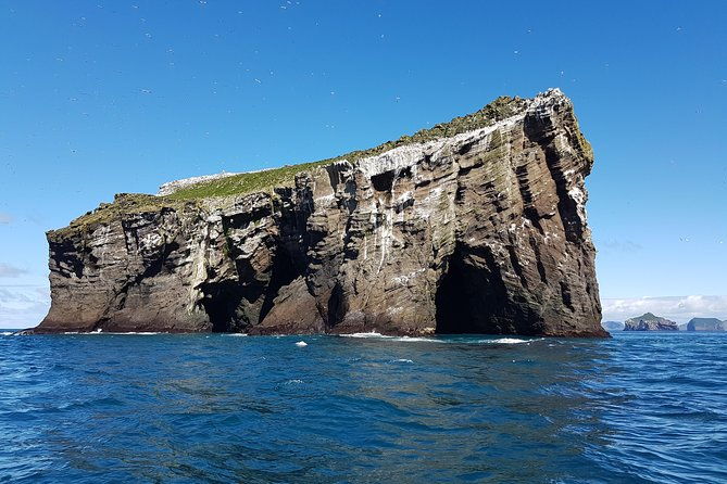 2-hour-round-trip-in-vestmannaeyjar-on-a-rib-boat