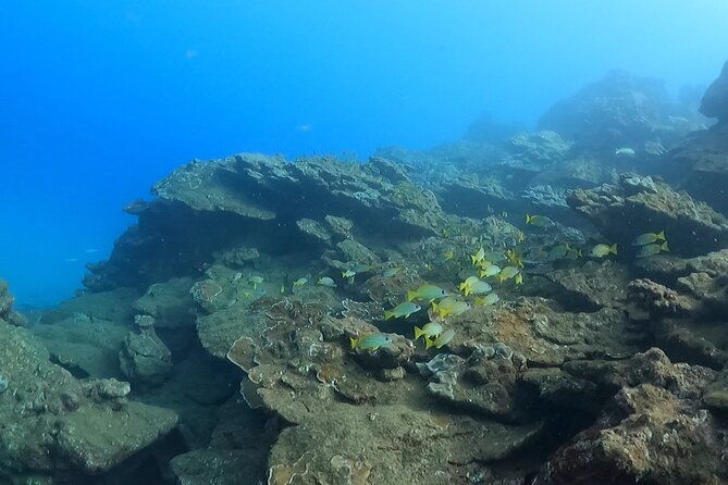 2-hour-snorkeling-adventure-in-kauai