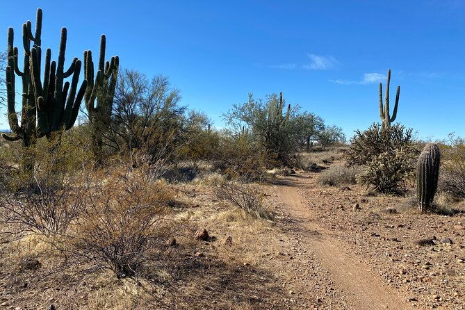 2-hour-sonoran-desert-private-guided-mountain-bike-tour