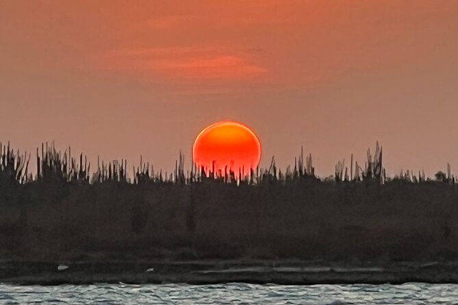 2-hour-sunset-kayak-tour-war-veterans-memorial-park
