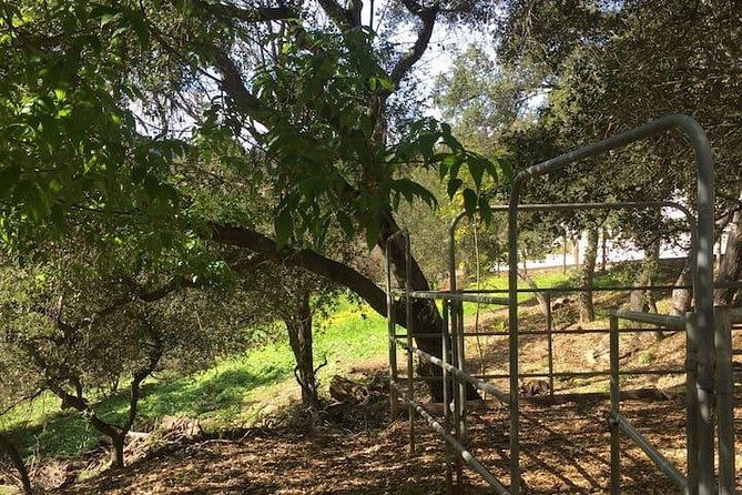 2-hour-valentine-horseback-riding-adventure-in-agoura-hills