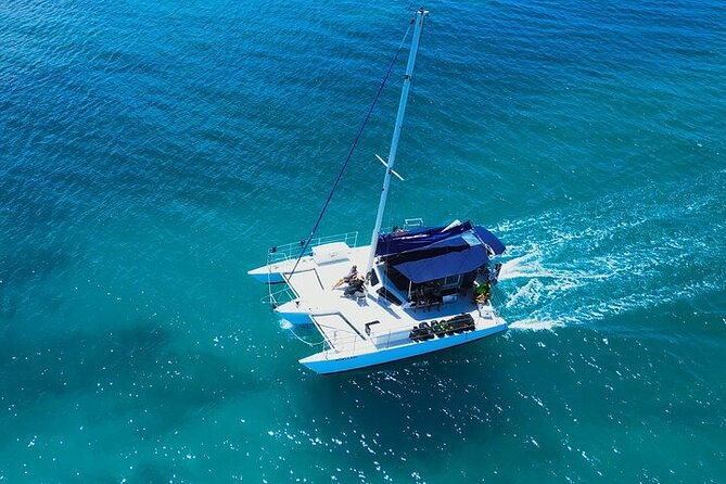 2-hour-waikiki-whale-watching-in-honolulu