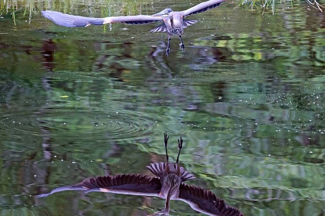 2-hour-wildlife-and-culture-small-van-excursion