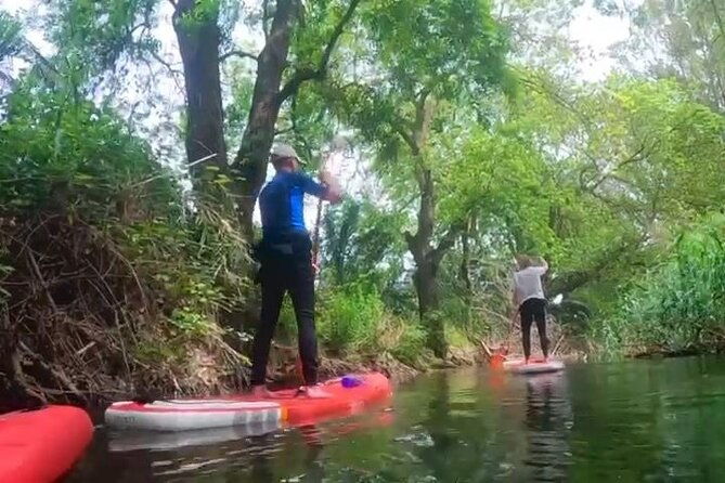 2-hours-and-a-half-sup-tour-in-the-ciane-reserve-in-syracuse