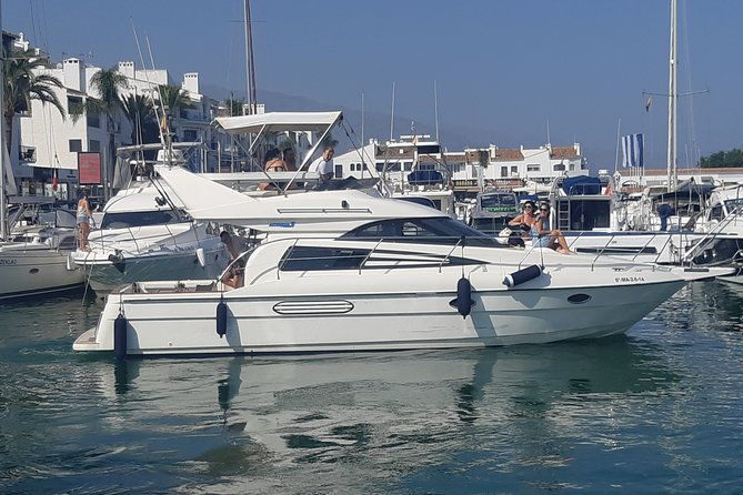 2-hours-dolphin-watching-in-marbella