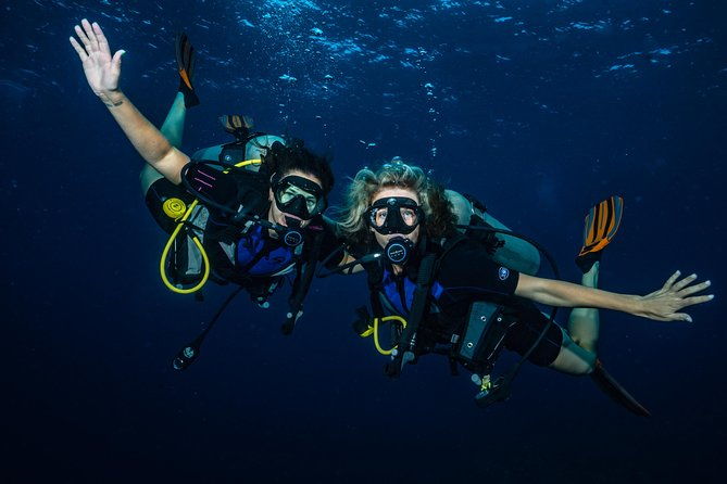 2-tank-maui-turtle-scuba-dive-or-snorkel-boat-tour-2