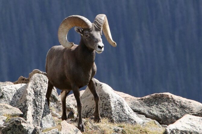 3-4-day-rocky-mountain-np-mountain-to-skybear-lake-rd-tour-rmnphotographer