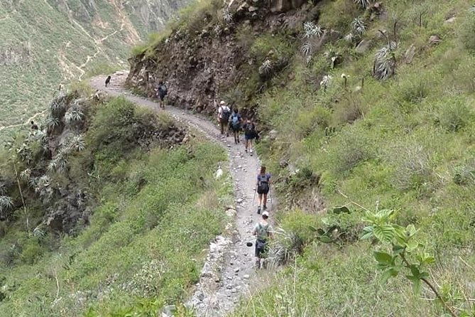 3-day-custom-colca-canyon-trek-from-arequipa
