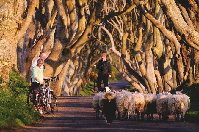 3-day-northern-ireland-tour-from-dublin-giants-causeway-titanic-experience