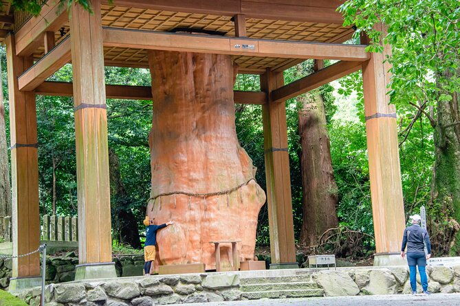 3-days-in-aso-to-experience-the-nature-and-peoples-lives-of-the-active-volcano