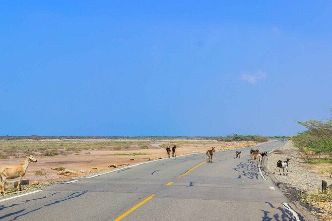 3-days-la-guajira-the-desert-tip-of-colombia