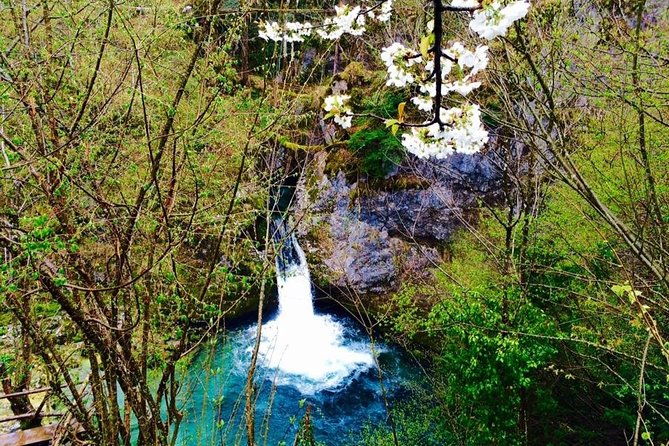 3-days-tour-exploring-the-best-of-thethi-national-park